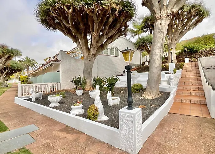 Tropicflavor * 塔科龙特