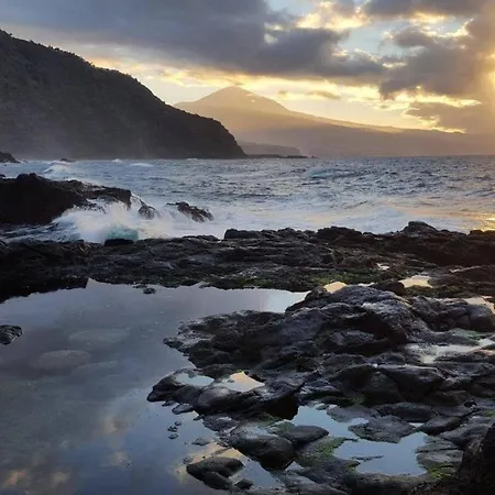 Tropicflavor Apartament